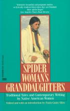 Book cover of Spider Woman's Granddaughters